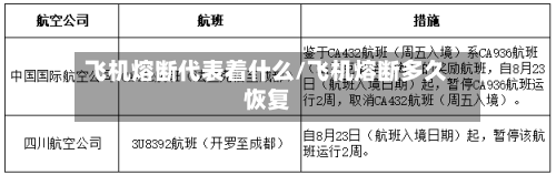 飞机熔断代表着什么/飞机熔断多久恢复-第3张图片