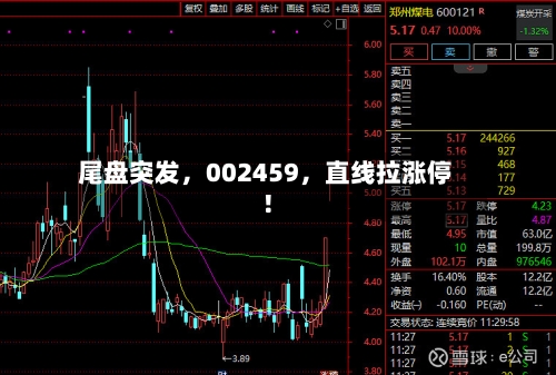 尾盘突发，002459	，直线拉涨停！-第2张图片
