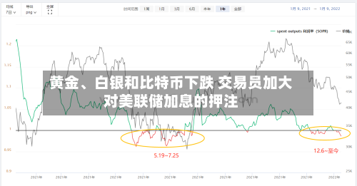 黄金	、白银和比特币下跌 交易员加大对美联储加息的押注-第2张图片