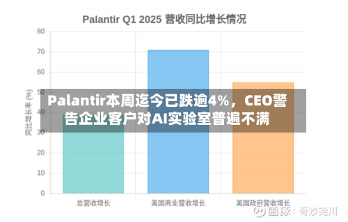 Palantir本周迄今已跌逾4%，CEO警告企业客户对AI实验室普遍不满-第2张图片