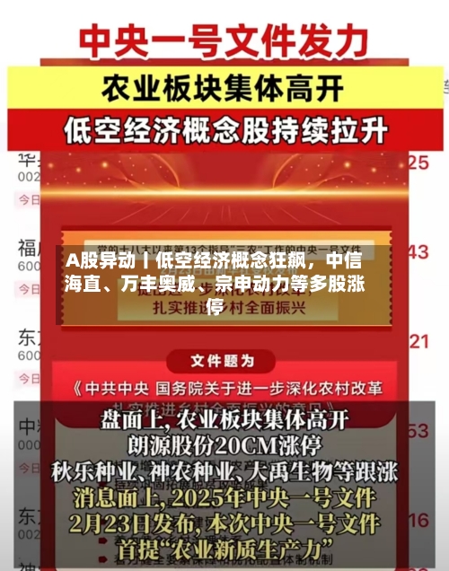 A股异动丨低空经济概念狂飙	，中信海直、万丰奥威	、宗申动力等多股涨停-第2张图片
