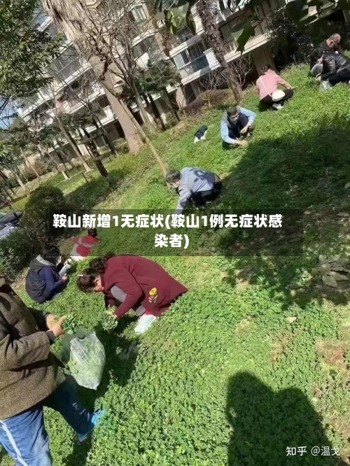 鞍山新增1无症状(鞍山1例无症状感染者)-第3张图片