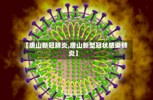 【唐山新冠肺炎,唐山新型冠状感染肺炎】-第2张图片