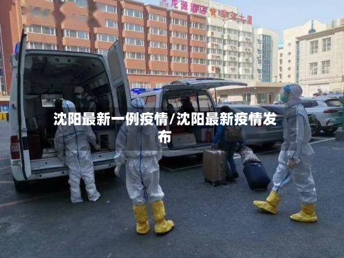 沈阳最新一例疫情/沈阳最新疫情发布-第2张图片