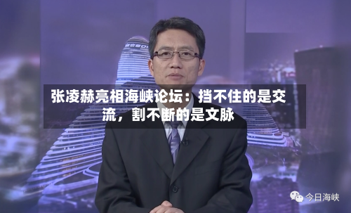 张凌赫亮相海峡论坛：挡不住的是交流，割不断的是文脉-第2张图片