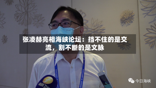 张凌赫亮相海峡论坛：挡不住的是交流，割不断的是文脉-第3张图片