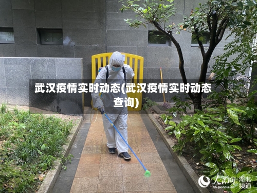 武汉疫情实时动态(武汉疫情实时动态查询)