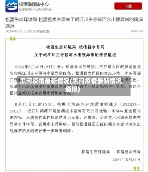 黑河疫情最新情况(黑河疫情最新情况通报)