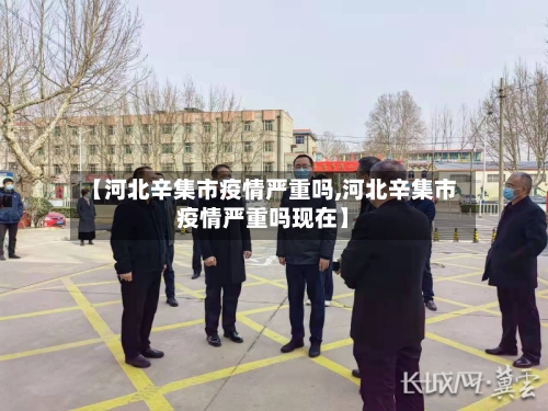 【河北辛集市疫情严重吗,河北辛集市疫情严重吗现在】