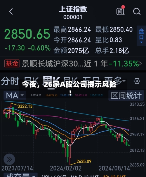今夜，26家A股公司提示风险！