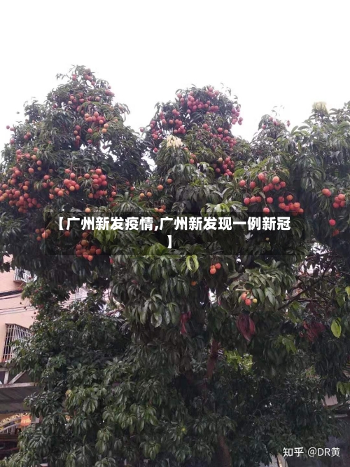 【广州新发疫情,广州新发现一例新冠】-第2张图片