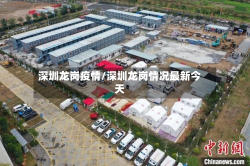 深圳龙岗疫情/深圳龙岗情况最新今天-第2张图片