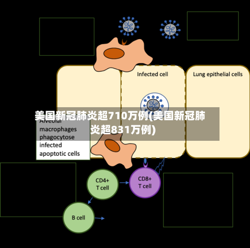 美国新冠肺炎超710万例(美国新冠肺炎超831万例)