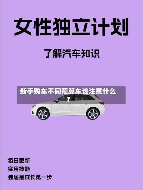 新手购车不同预算车该注意什么?-第2张图片