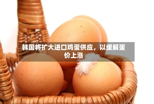 韩国将扩大进口鸡蛋供应，以缓解蛋价上涨-第2张图片