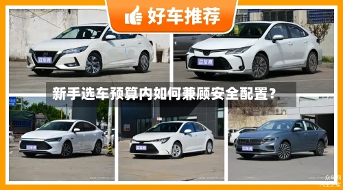 新手选车预算内如何兼顾安全配置?-第2张图片