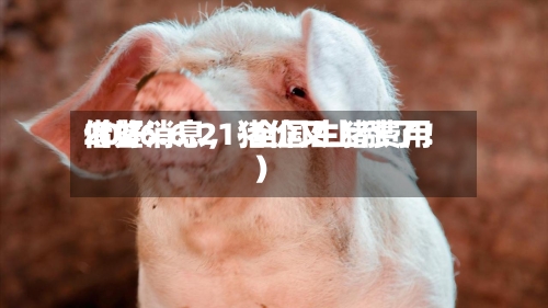2026.6.21-全国生猪费用借鉴（好消息，猪价又上涨了！）-第2张图片