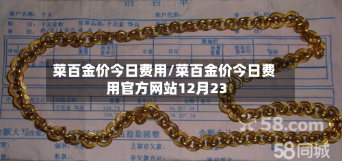 菜百金价今日费用/菜百金价今日费用官方网站12月23-第2张图片