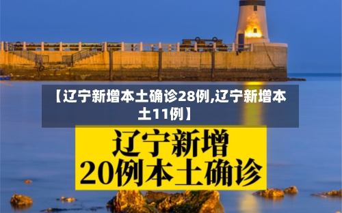 【辽宁新增本土确诊28例,辽宁新增本土11例】-第2张图片